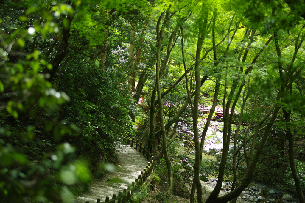 高いとこまで来たなぁ