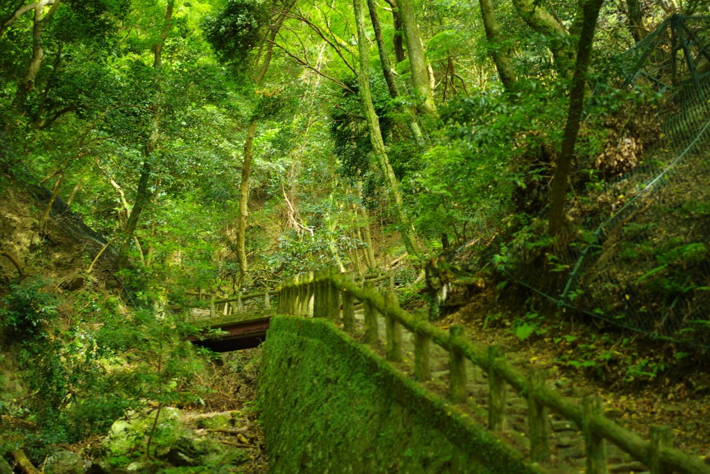 ジブリにでてきそうな風景