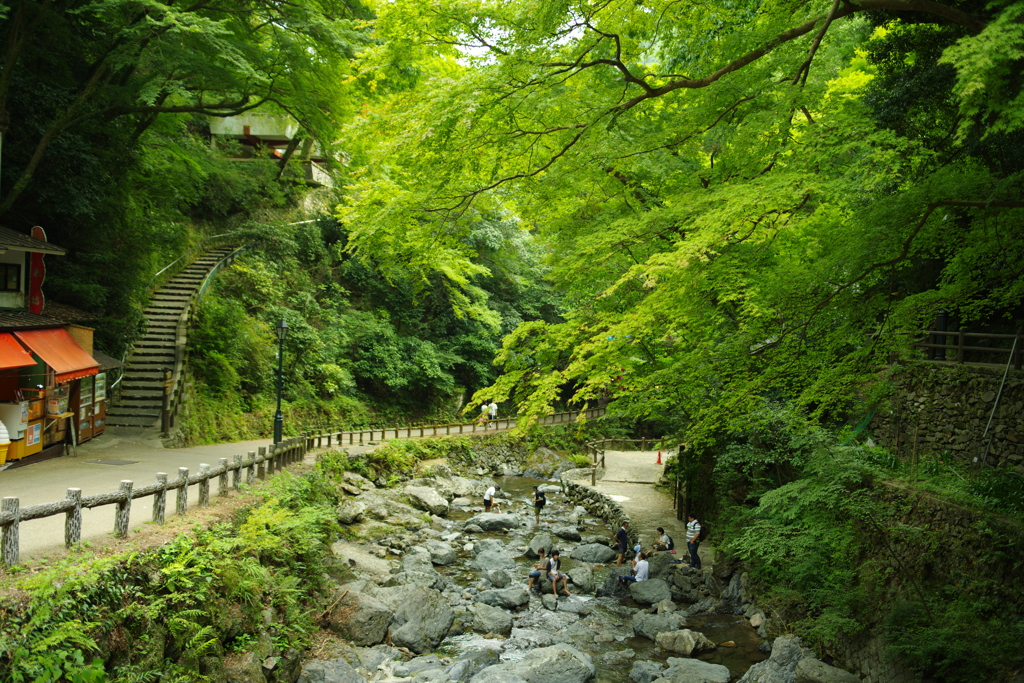 川遊びたのしそう！