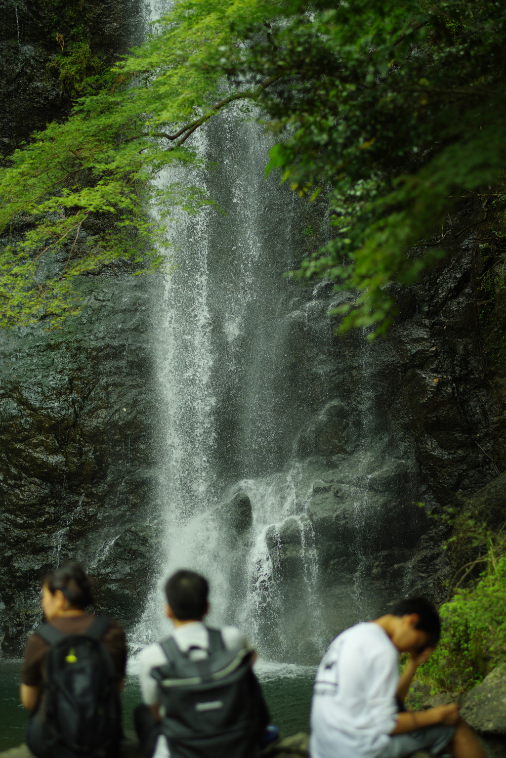 す、涼しい！