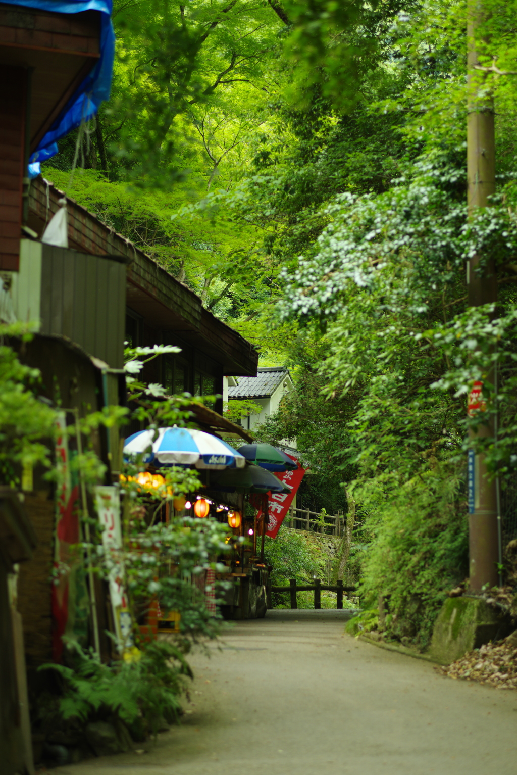 お店が見えてきた！