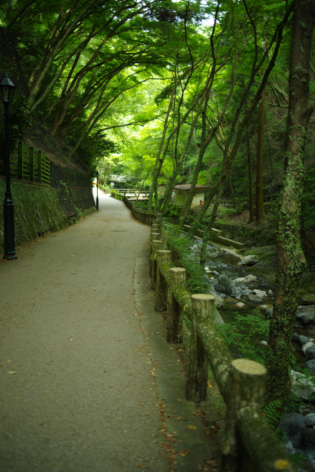 帰り道