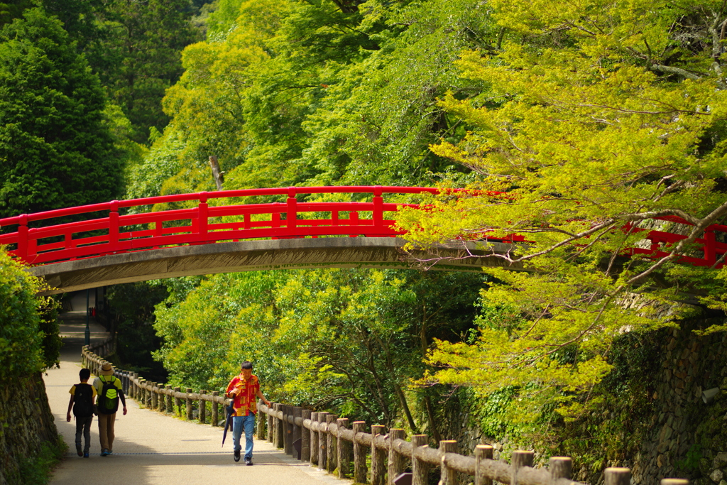 立派な橋！