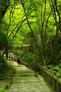 川沿いは涼しい！