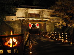 夜の飫肥城