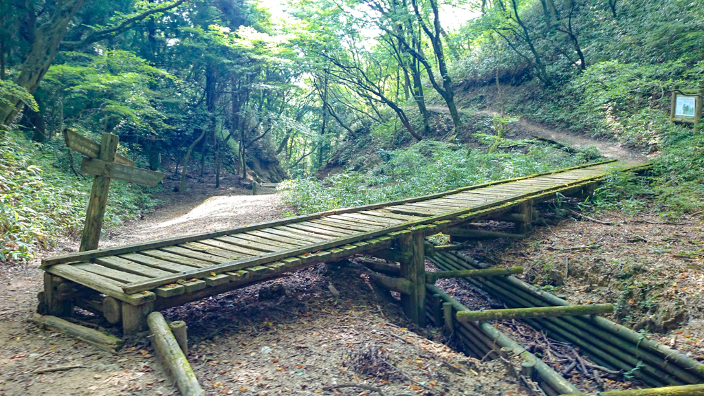 大和葛城山①