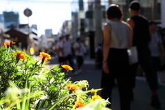 1007_harajuku