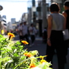 1007_harajuku