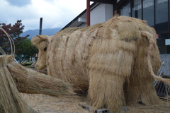 大きなヒップ