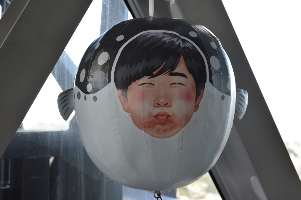 ふぐくん