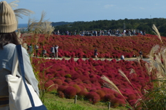 魅せられて