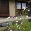 ささやか
