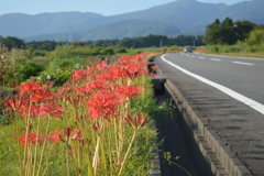 のぼり