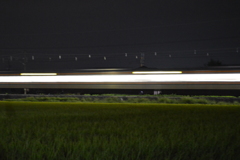電 光