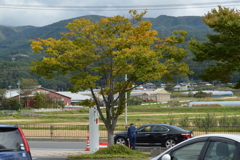 すいません