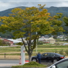 すいません