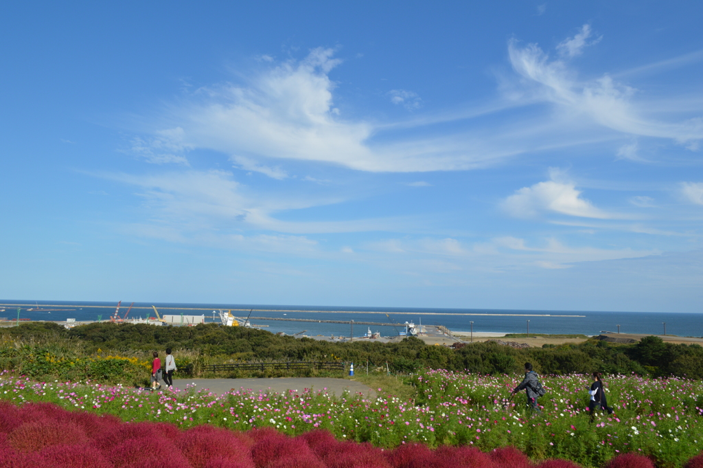 香り漂う