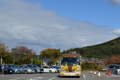 ネコバスあらわる