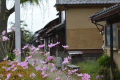 ひと息