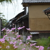 ひと息