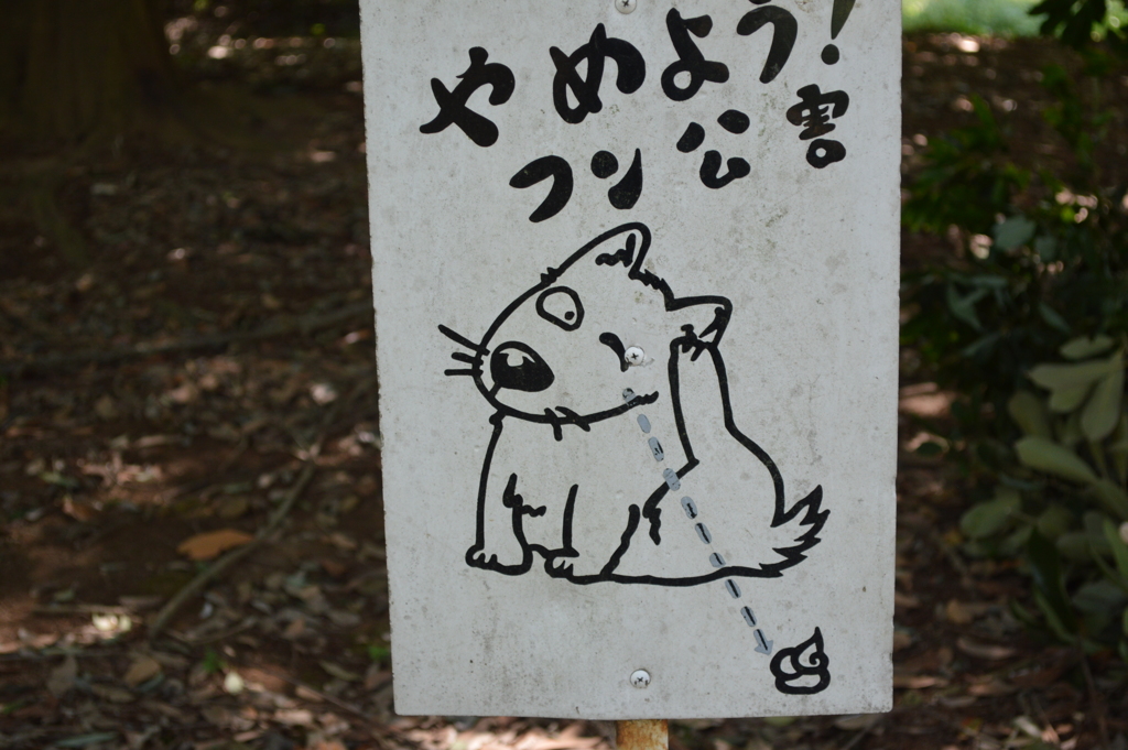 ﾌ ｰ ﾝ