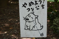 ﾌ ｰ ﾝ