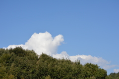 吠える 6