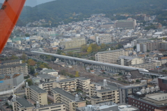 ながーいねぇ