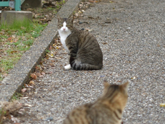 にらめっこ