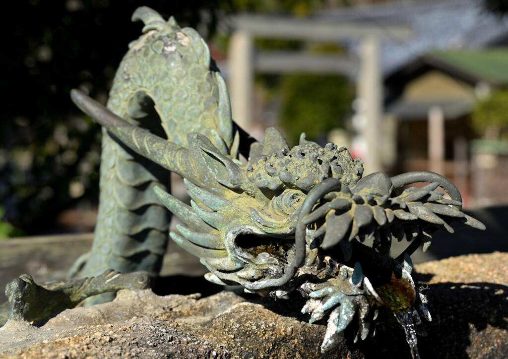 賀