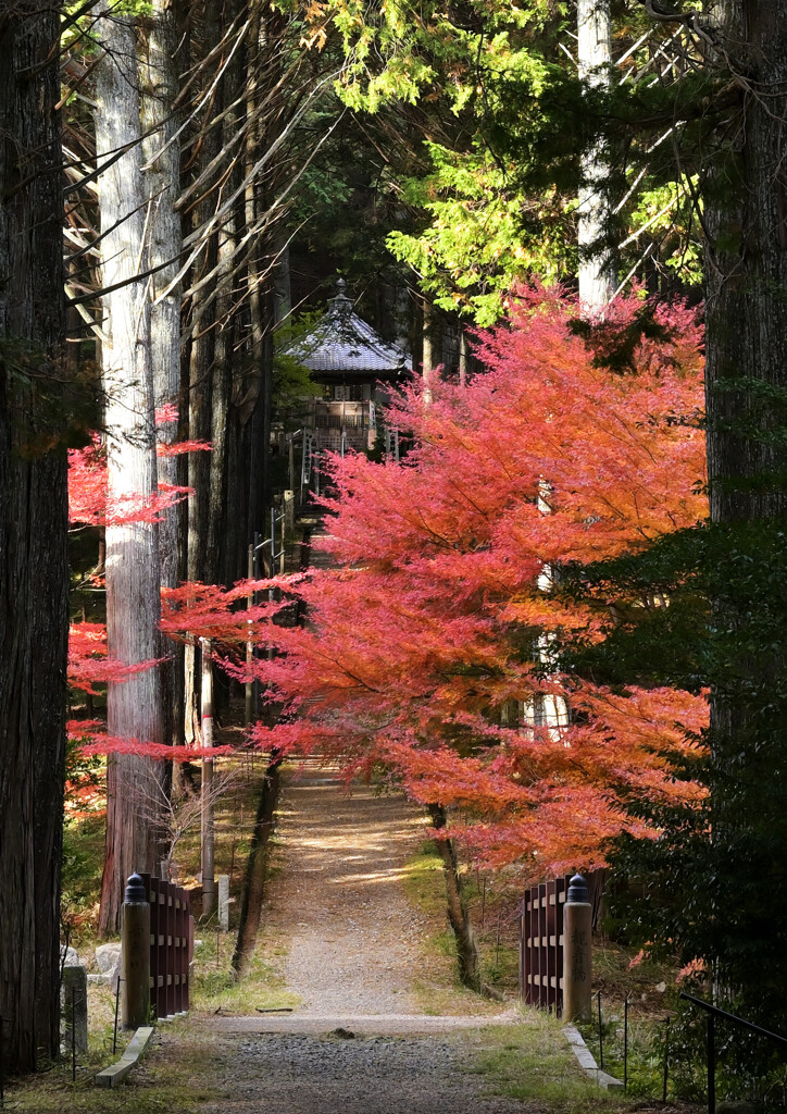 紅葉門