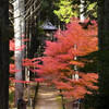 紅葉門
