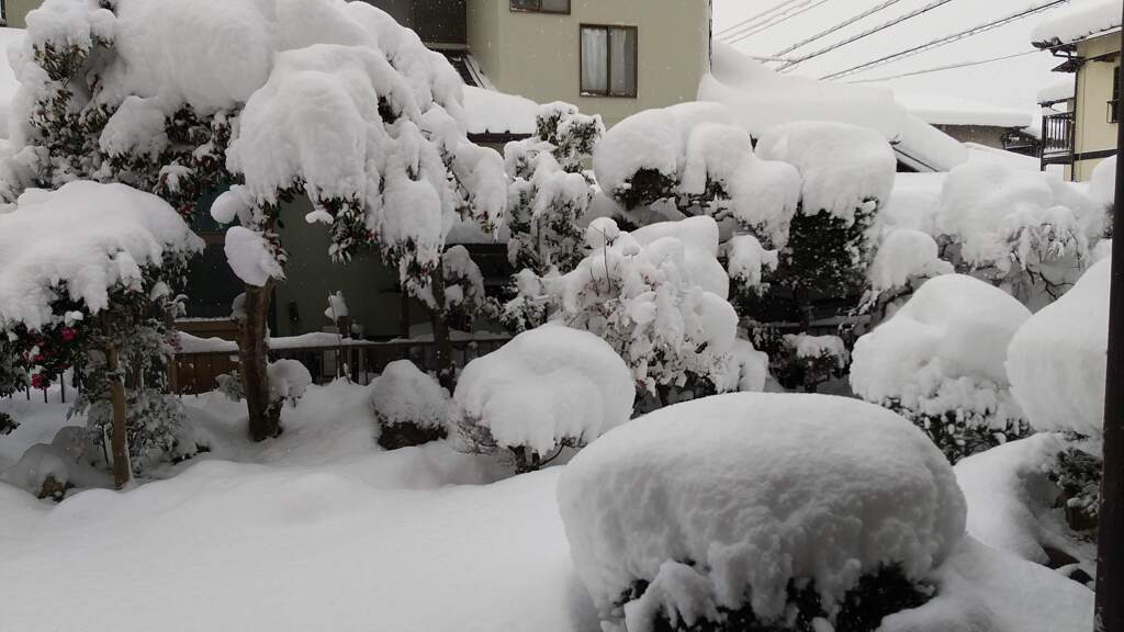 目覚めれば大雪