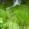 清流