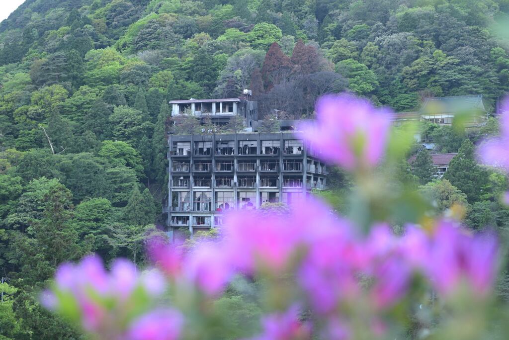 やばい写真（焼ける）