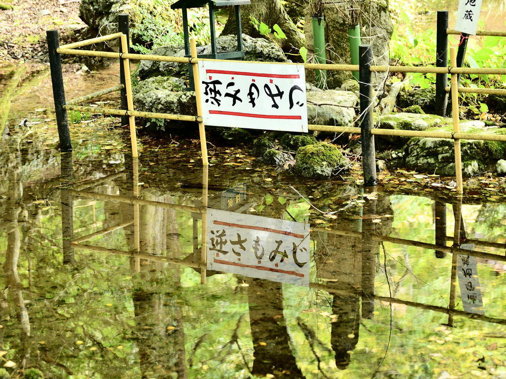 水鏡