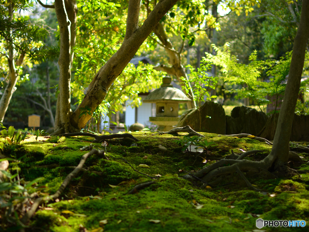 庭園