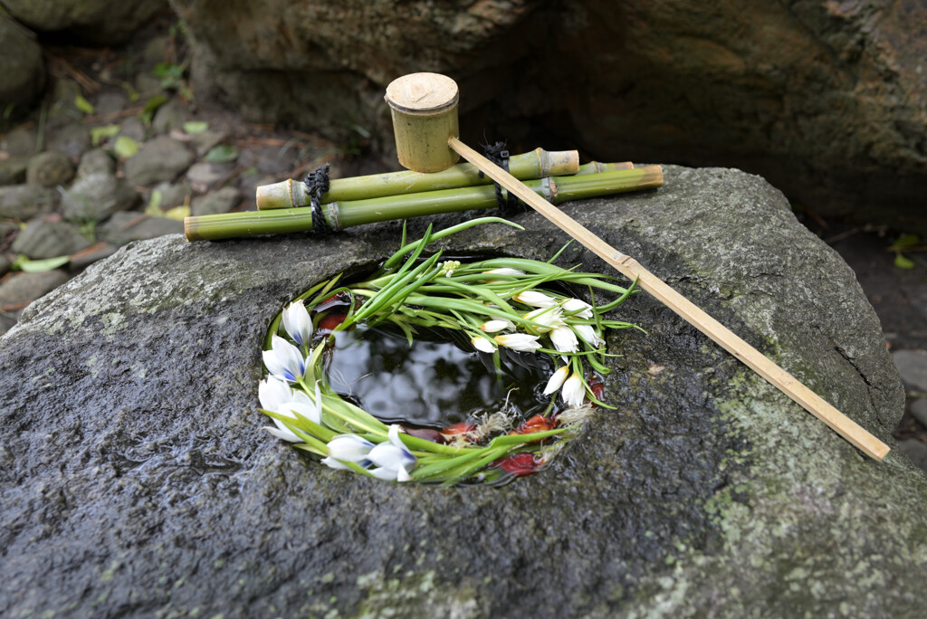 花手水③