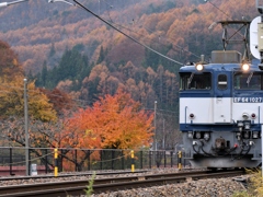 秋の列車