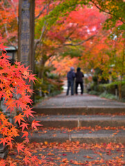 秋のお百度参り
