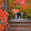 秋のお百度参り