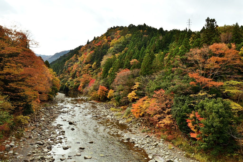 愛知川沿い