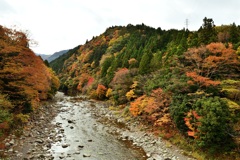 愛知川沿い