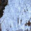 wood in ice 2