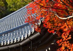 無機と有機の美