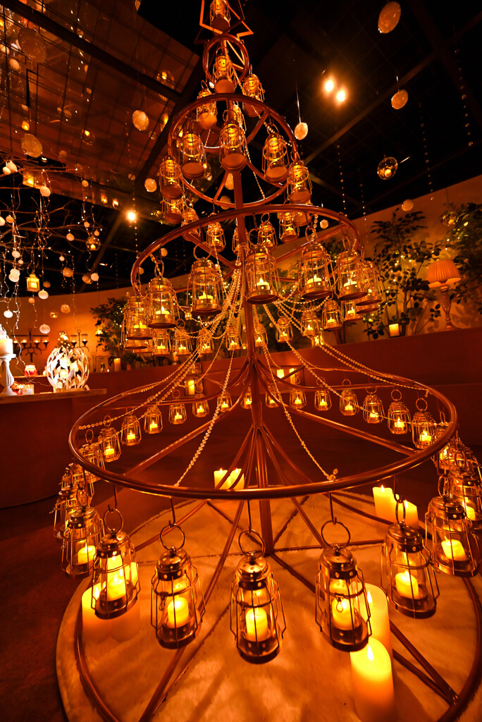 ランタンツリー