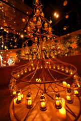 ランタンツリー