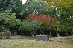 貞子の井戸