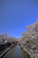 快晴なり