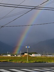 雨上がりの通勤路